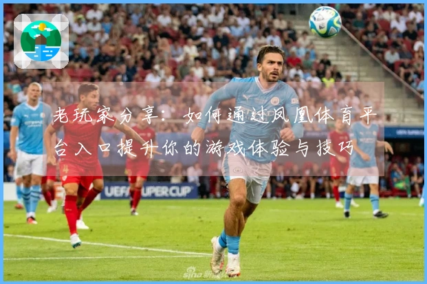 老玩家分享：如何通过凤凰体育平台入口提升你的游戏体验与技巧