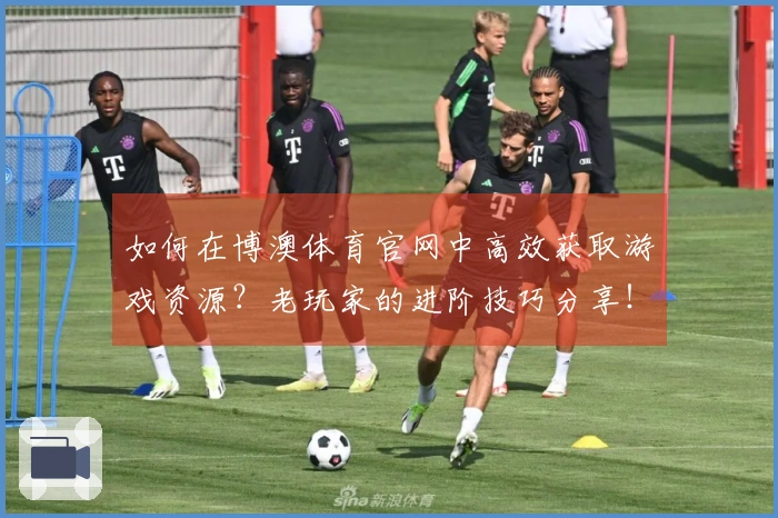 如何在博澳体育官网中高效获取游戏资源？老玩家的进阶技巧分享！