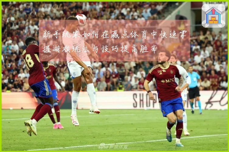 新手玩家如何在赢点体育中快速掌握游戏玩法与技巧提高胜率